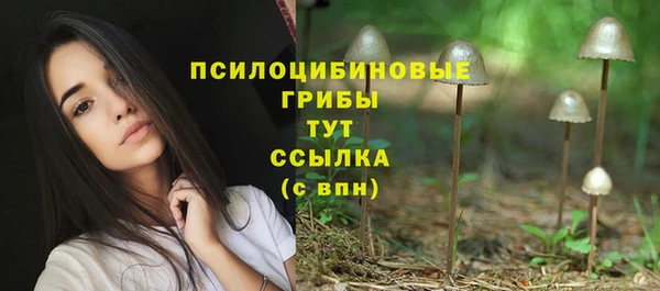 гашик Алексеевка