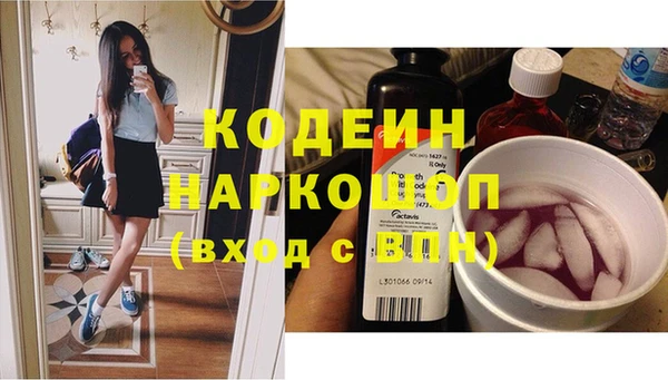 гашик Алексеевка