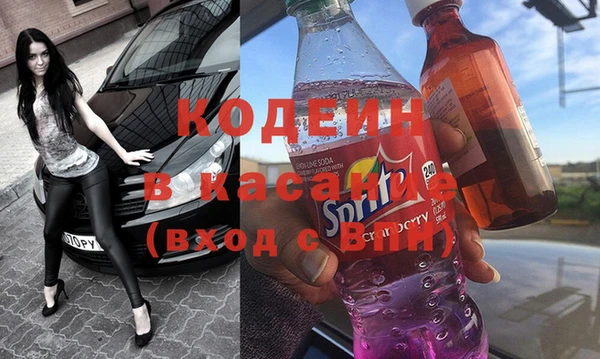 индика Дмитровск